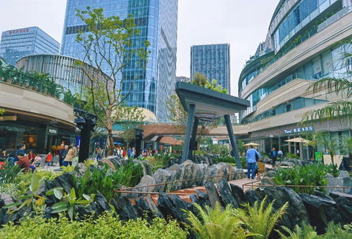 關(guān)注第十八屆重慶市市長國際經(jīng)濟(jì)顧問團(tuán)會議 重慶打造內(nèi)陸開放綜合樞紐 市長顧問團(tuán)企業(yè)如何助力