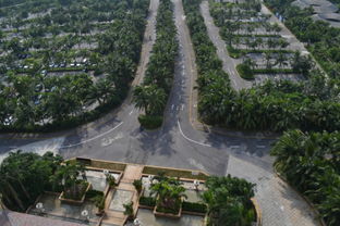 融創(chuàng)觀瀾湖公園壹號(hào)三期在售 均價(jià)17000元 ㎡帶裝修