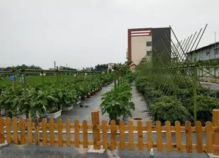 5月廣州免費科普一日游又來了,這里有報名游玩全攻略