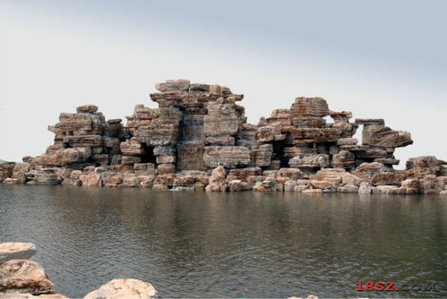 經(jīng)濟學(xué)家張維迎吁堅信市場經(jīng)濟 勿走向 共同貧窮