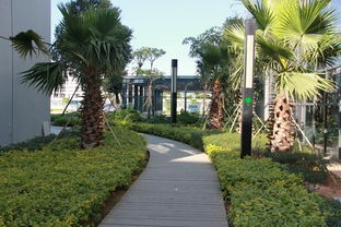 看準(zhǔn)網(wǎng)