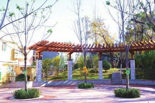 優(yōu)中選優(yōu)市中拆違建綠 十大精品 出爐 真金白銀最美 口袋公園 獎勵30萬元