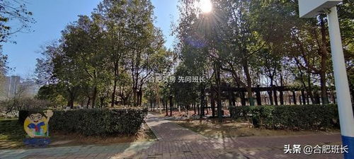 合肥駱崗中央公園北側(cè)唯一商品住宅,實(shí)探外拙內(nèi)秀的信達(dá)銀杏尚郡