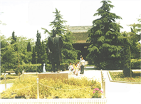 江南園林中的實業(yè)傳奇：張謇的文化印記